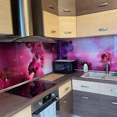 Cat Garden Elegant * Riga