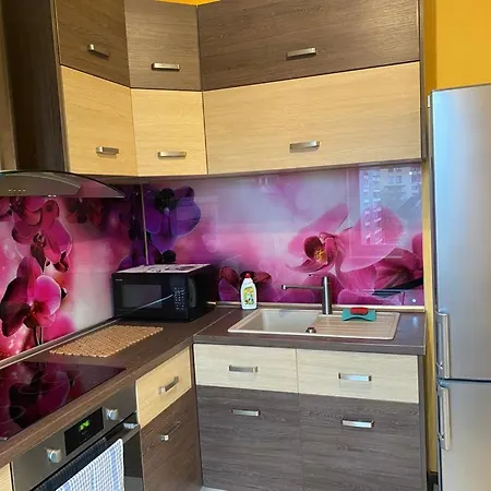 Cat Garden Elegant Ρίγα