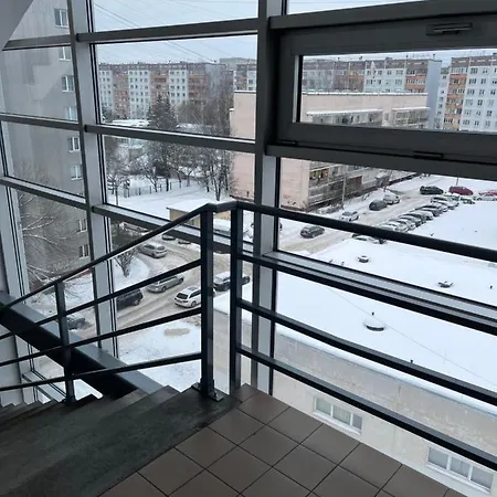 Cat Garden Elegant Рига