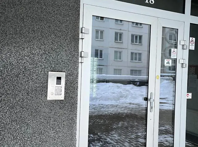 Cat Garden Elegant *