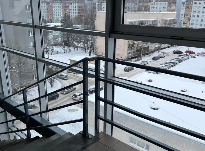 Cat Garden Elegant Riga