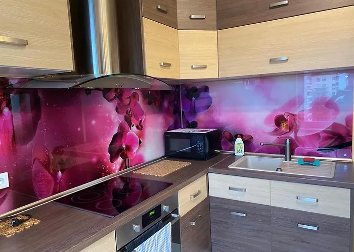 Cat Garden Elegant * 리가