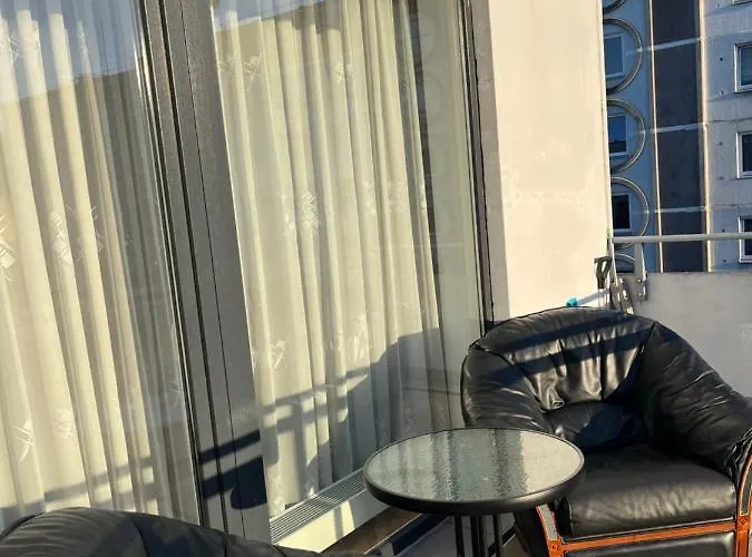 Cat Garden Elegant * 리가