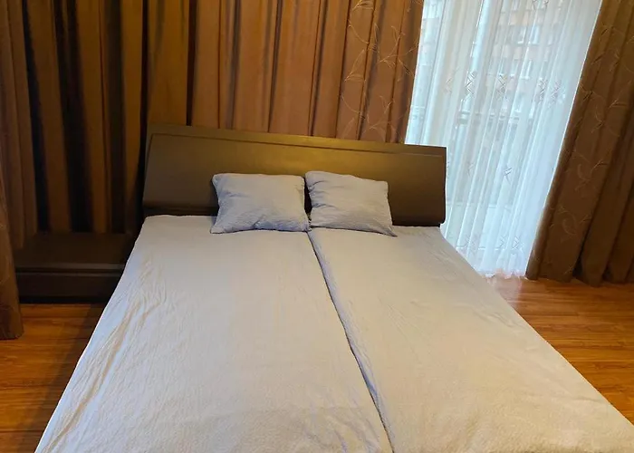 Cat Garden Elegant * リガ