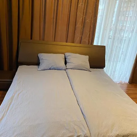 Cat Garden Elegant * Riga