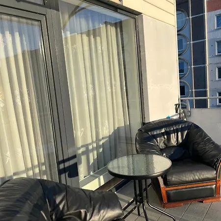 Cat Garden Elegant * Riga